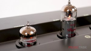 Bugera v22 replacement speaker