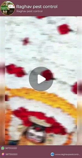 Rajesh Raghav on Instagram