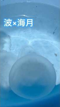 心も清まる透き通る波とミズクラゲ🪼 #クラゲ #海水浴 #日本海 #波の音 #癒しの時間 #癒し #福井県