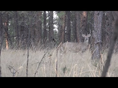 Hunting Traditions: A Hunter's Prayer