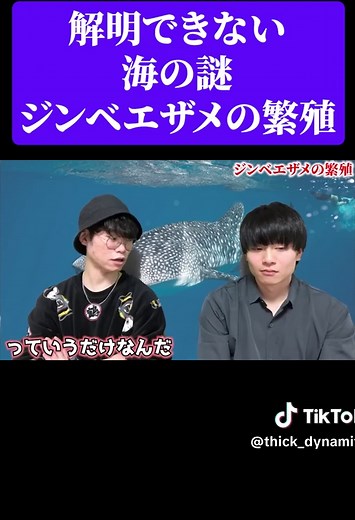 ジンベエザメの繁殖の謎、未解明な生物学