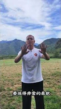 来终南山修行，都说是修心修身，他们到底在修什么？王师父用简单的2个字进行了概括，太准确了！（15）#修行 #终南山 #修心 #修身 #太极拳