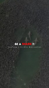 In a World Full of Fish, Be a Shark: Motivational Insights