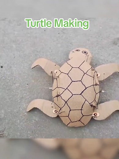Turtle Making Project: A Fun DIY Challenge