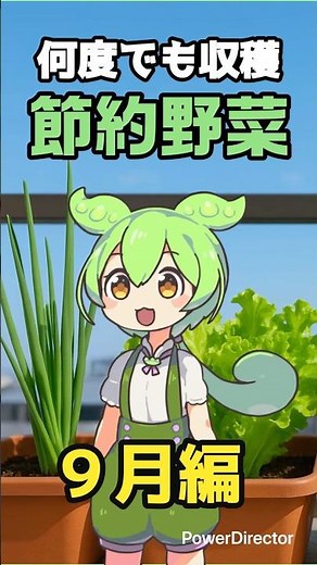 9月に植えて何度も収穫できる！お得な節約野菜5選🌱