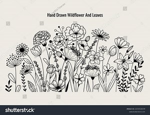 Vector Hand Drawn Flowers Leaf Elements Stock Vector (Royalty Free) 2233516579 | Shutterstock