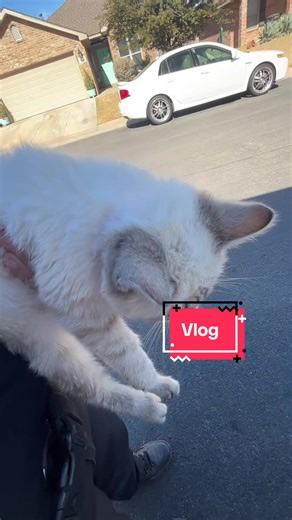 A Day in the Life of an Animal Control Officer in Texas