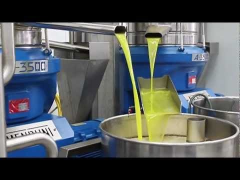 Chef John Tours the California Olive Ranch