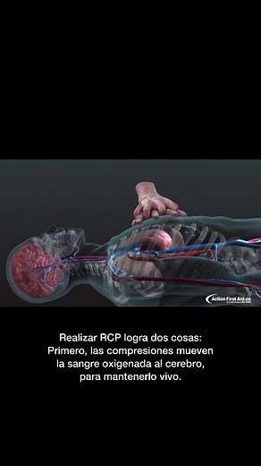 Cardiologia.MN on TikTok