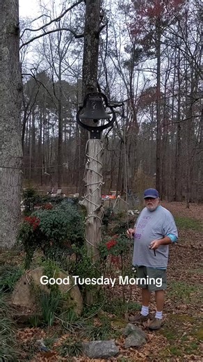 Bobs Bell Rings (@bobsbellrings)’s videos with original sound - Bobs Bell Rings