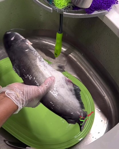 How To Clean Catfish - Step-by-Step Guide