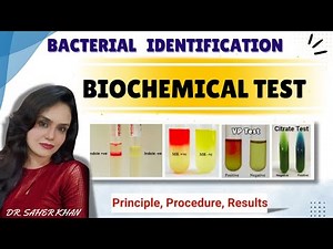 Biochemical Tests Microbiology | IMViC Explained | Viva & Exam Guide | MBBS, BDS, Nursing, BMLT