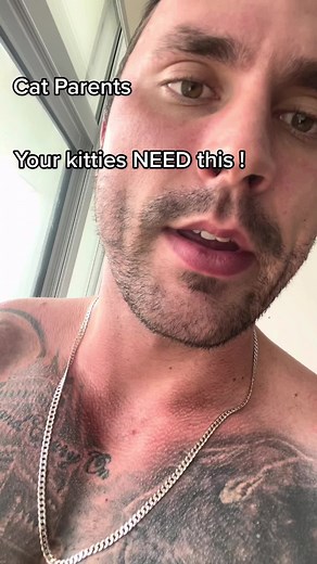 Cat Daddy Dan on TikTok