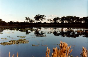 'Na ribeira deste rio', belo poema de Fernando Pessoa, com música de Dori Caymmi