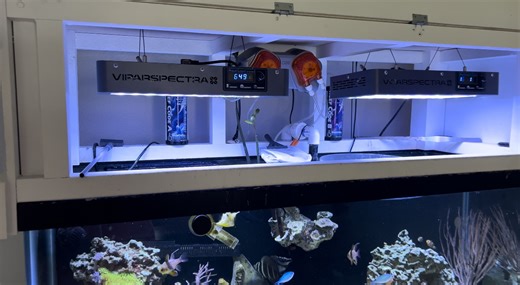 Watch ViparSpectra V165 marine aquarium LEDs on Amazon Live