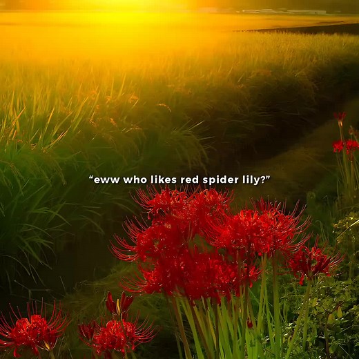 Red Spider Lily: Meaning, Symbolism, and Beauty Explained