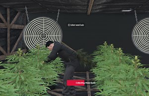 2024 Supercharge Your FiveM Server: Realistic Weed Processing and Selling Script for QBCore