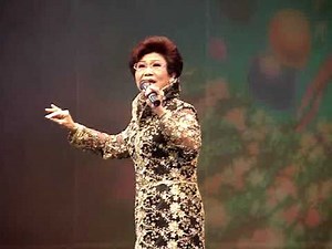 Teochew opera concert - 陈楚惠 Tan Chor Hui