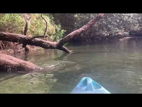 Kayaking Estero river, Florida