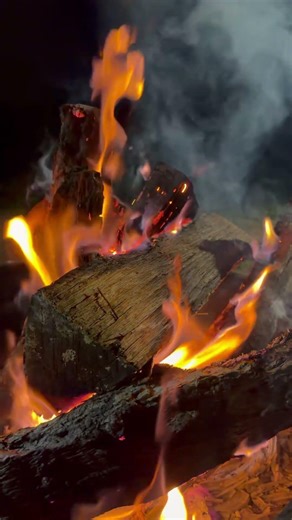 Lake Casitas Camping