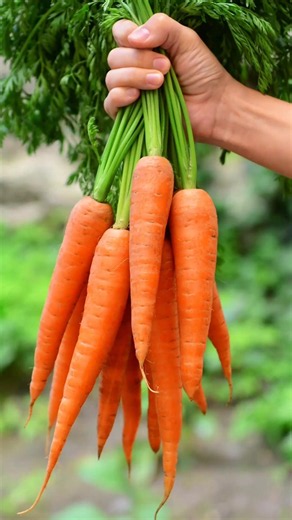 🥬 Top 10 Healthy Vegetables You Should Eat Daily 😱 ✅ #healthtips #helthbenefits #facts