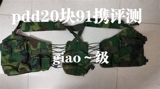 Pdd20块91携评测