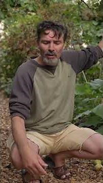 Combining perennials and annuals