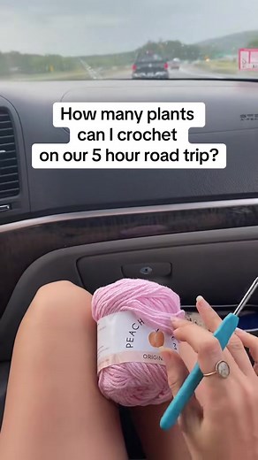 Crochet Inspiration for Road Trip Enthusiasts
