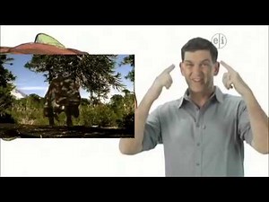 Dinosaur Discoveries Ankylosaurus revised