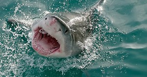 Strings in film: Leading screen composers discuss their use of the broad string palette