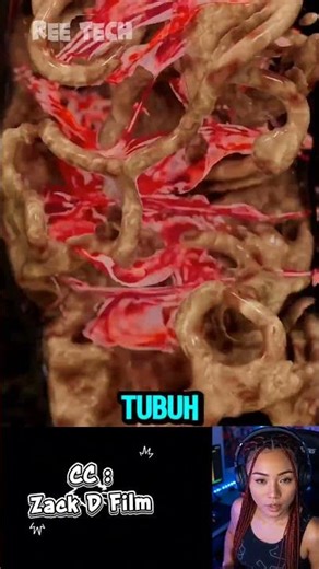 Tubuhnya Meleleh Tapi Ingatannya Abadi! #SainsUnik #Biologi