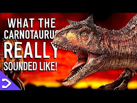 What Did The Carnotaurus REALLY Sound Like?