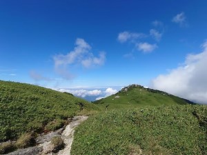 【Yamakara】屋久島宮之浦岳縦走