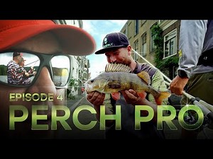 PERCH PRO 10 - Episode 4