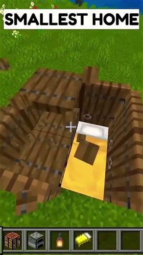 Smallest house 🤯 #minecraft #shorts
