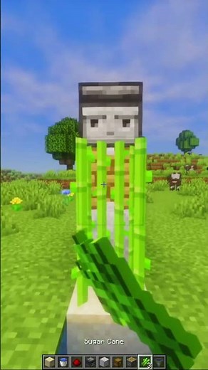 Automate Sugar Cane In Under A Minute⏱️ #minecraft #shorts #gaming