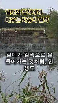 완전한 자유를 향한 여정 5화 - 계절과 함께 흐르는 자유, 변화를 받아들이는 지혜 #인생2막 #명언 #좋은글