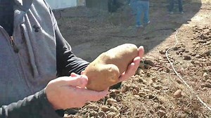 9.4K views · 115 reactions | Get ready for more photos and videos...