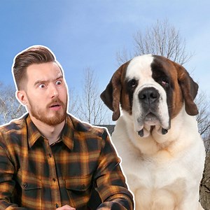 20K views · 58 reactions | These videos have less than 100 views!  | REACT | Facebook