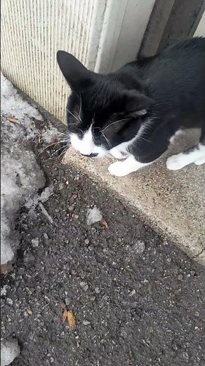 ateşte işe çıktı 😅