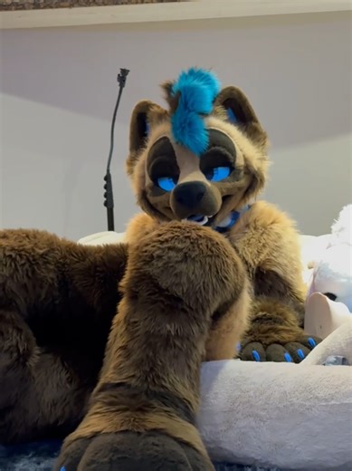 you caught me a bit worn out 😭 slim digitigrade suit by sheenitude! #furrycommunity #fursuit #furrytiktok #fursona #furry