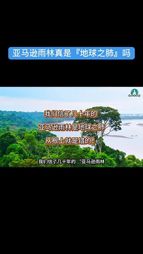亚马逊雨林真是『地球之肺』吗？#搬運 #亞馬遜 #亞馬遜雨林 #地球之肺