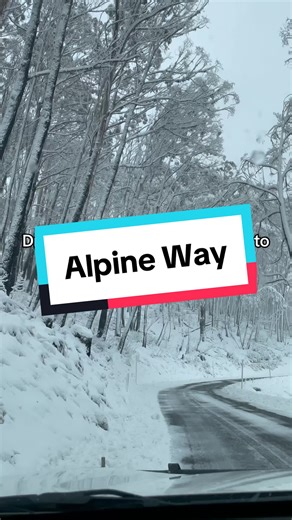 Experience the Beauty of Snowy Mountains in Australia