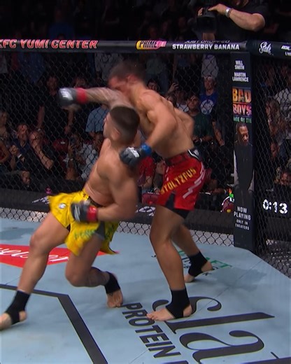 1.2M views · 4.1K reactions | The best finishes from 2024 you may have forgotten about  Which one is your favorite? | UFC | Facebook