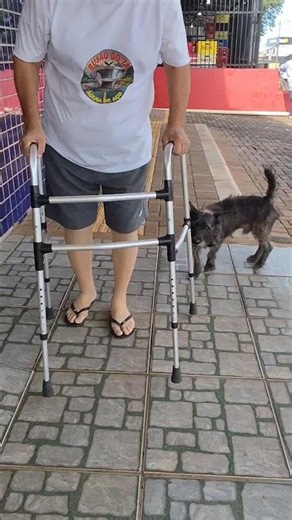 Melhor companhia #cirurgiageral #companhiaanimal