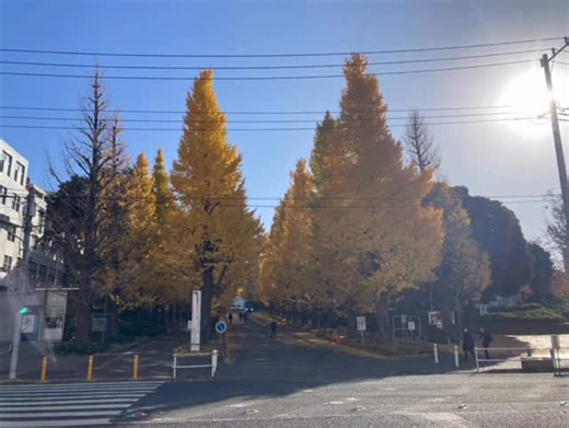 和田政宗 on Instagram: "慶應義塾の日吉キャンパスへ。 昨日の日本外交史・池井優ゼミOB会には、池井先生が開設に携わった司法研究室の1期生である藤崎一郎・元駐米大使も参加し、お話させて頂きました。 プロセスの大切さなど大変勉強になりました。 学びの機会を一層増やし、国家国民のための政治活動を続けてまいります。"