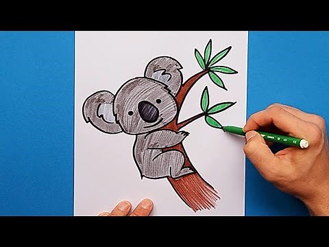 How to draw a Koala Bear