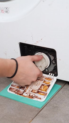 Washing Machine Cleaning Essentials | Panda Curioso