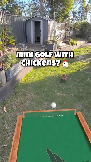 Mixed Reality Mini Golf With CHICKENS? 😂🐔