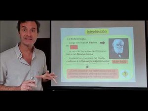 Clase 11. Reflexología